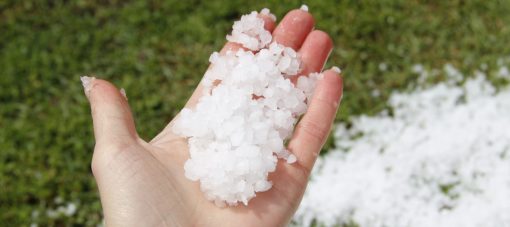 grêle-assurance-mfa