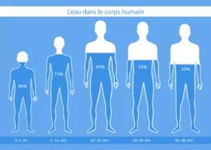 article blog hydratation 2