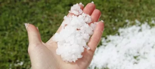 grêle-assurance-mfa